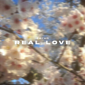 دانلود آهنگ Zerun Real Love